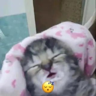 😴