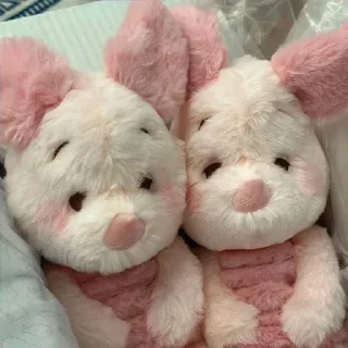 🐽