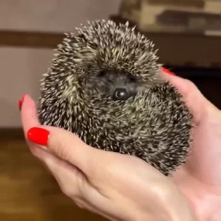 👋