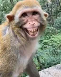 😁