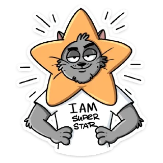 🌟