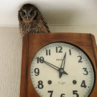 🕰