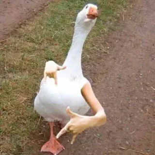 🤟