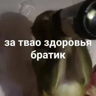 🍾
