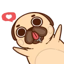 PugliePug