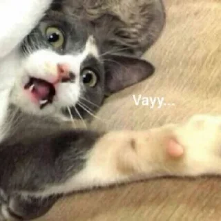 😱