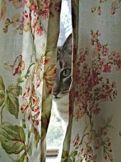 🤨