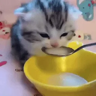 🍴