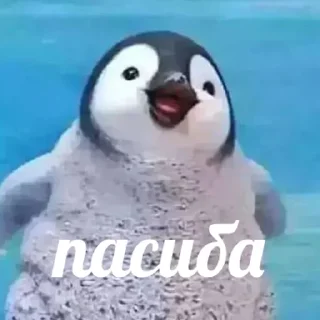 🥰