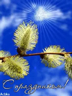 🌷