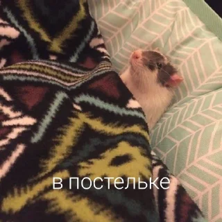 🤗