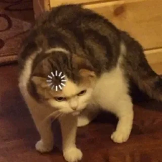 🤨