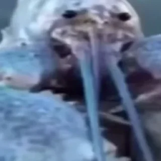 😬