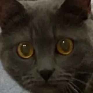 😳