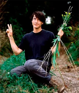 ✌️