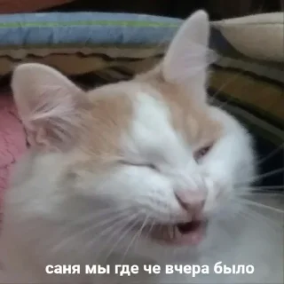 😮
