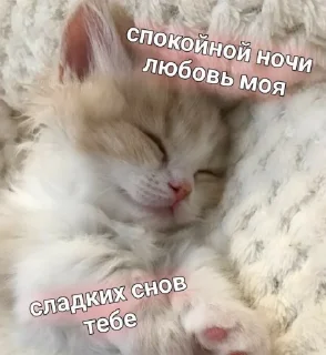 😴
