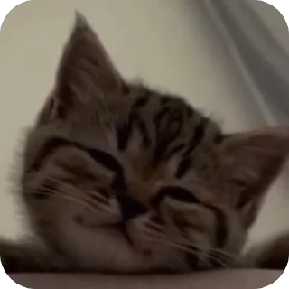 🫥
