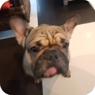 👍