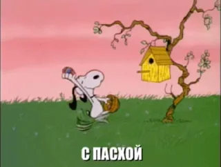 🥚