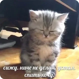 😞