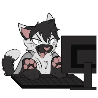 💻