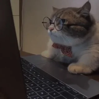 💗