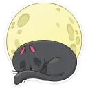 😴