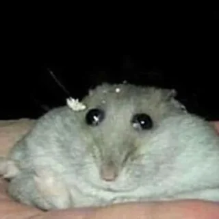 🥺