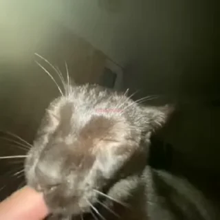 😁