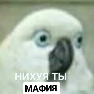 😳