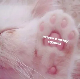 🖕