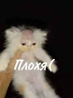 😔