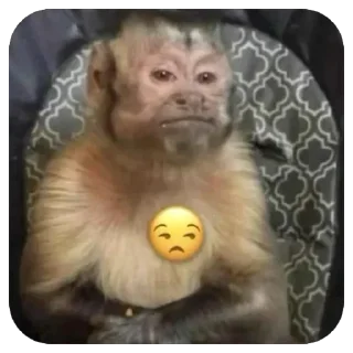😒