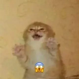 😱
