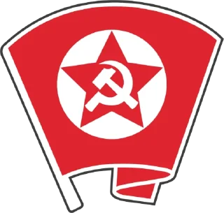 🚩