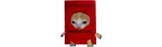 🫡