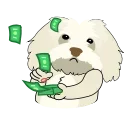 💵