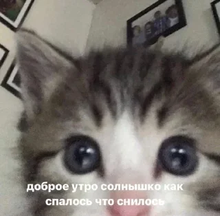 😳