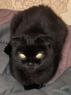 😠