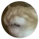 😁