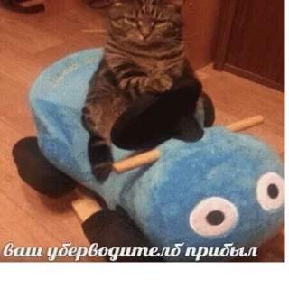 🚕