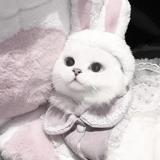 🥺