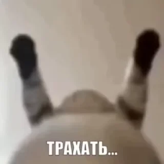 😍