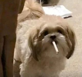 🙂