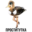 🦆