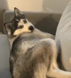 🙄