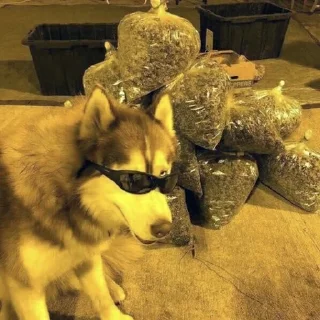 🚬
