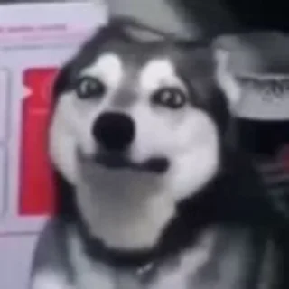 💀