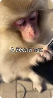 💵